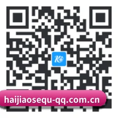 鸿蒙防封原生系统 二维码